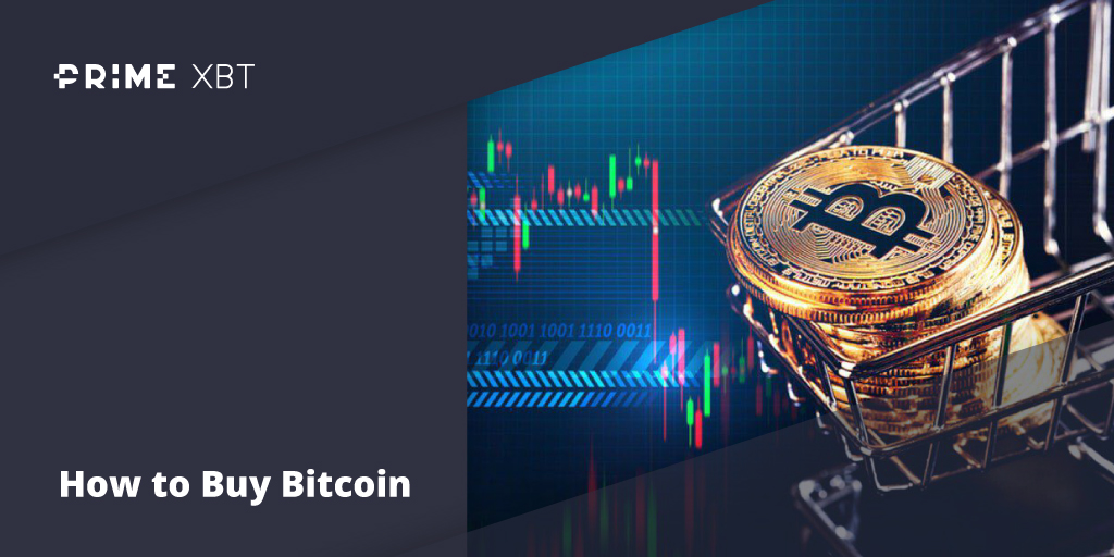 How To Buy Bitcoin: The Ultimate Guide To Buying BTC - Blog Primexbt btc 12 02
