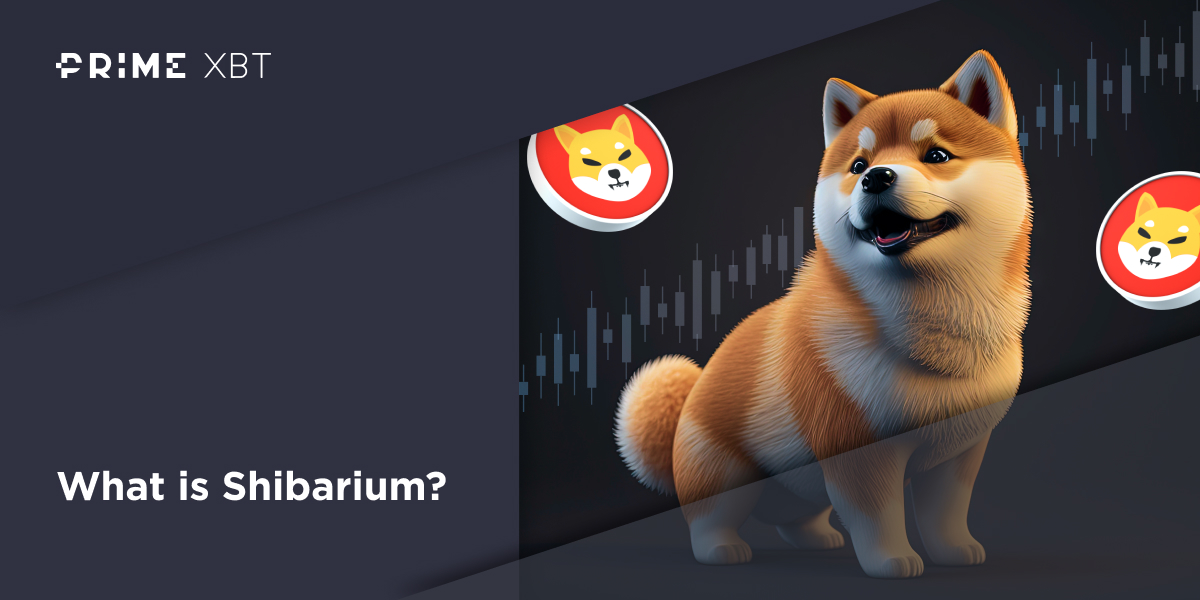 Shibarium Unveiled: Impact and Evolution of Shiba Inu's Ecosystem - 1200x600 02