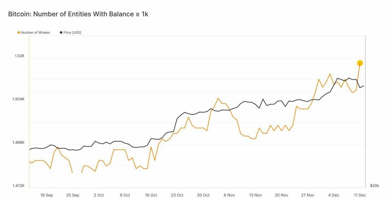 Market research report: Stocks race to all-time-highs on the back of dovish FED but crypto retreats - BTC large whale holdings