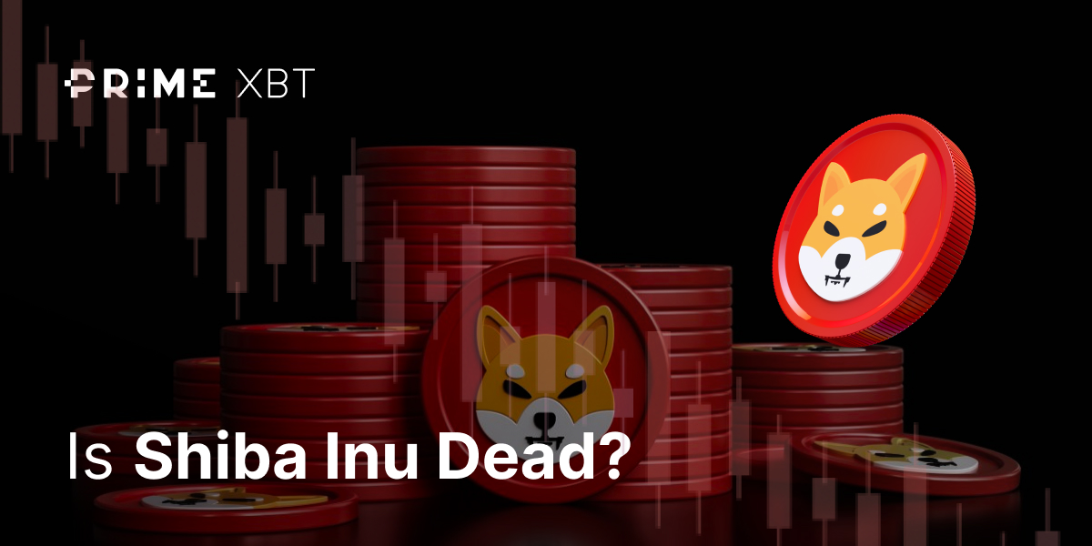 Is Shiba Inu dead? - blog 315 1200x600