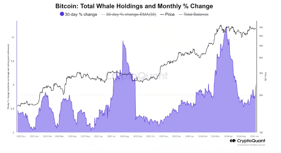 Market research report: Bitcoin at 69k as rate fears mount, overshadowing a record ETF inflow streak - BITCOIN whales 1