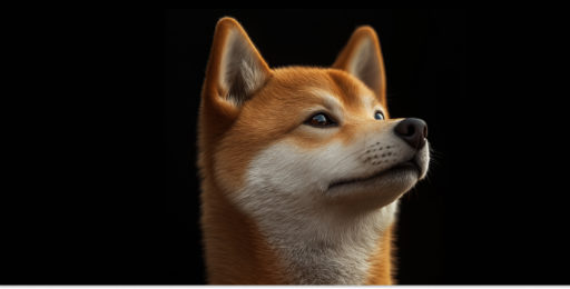 Dogecoin Spot Flows Jump 116% as Token Closes Out a Red July - Shiba Inu price prediction in 2024 and beyond  how high will Shiba Inu go  1200x600 512x260