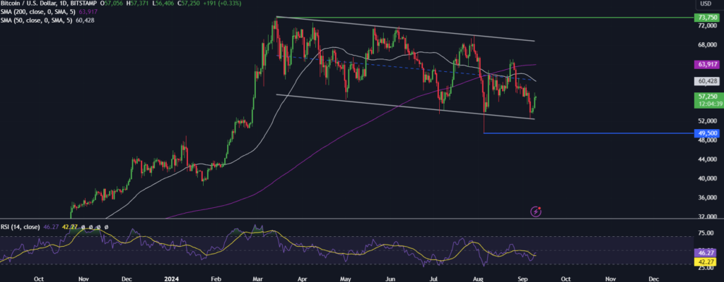 BTC rises ahead of the US Presidential election debate - BTCUSD 12 1024x400