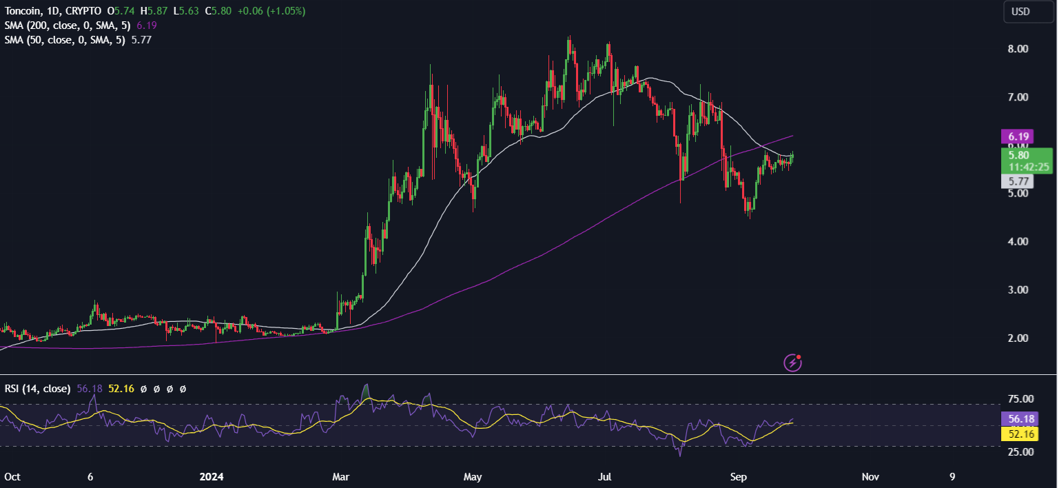 Bitcoin Forecast: BTC rises towards 65k, NEAR, TON outperform - TON