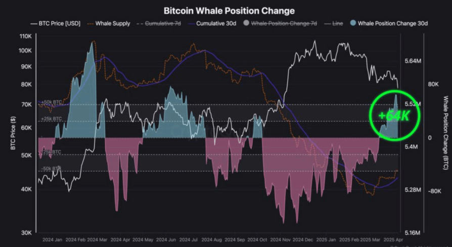 Bitcoin breaks out as whale wallets rise & LTHs accumulate. Is 100k coming? - whale position change 23042025
