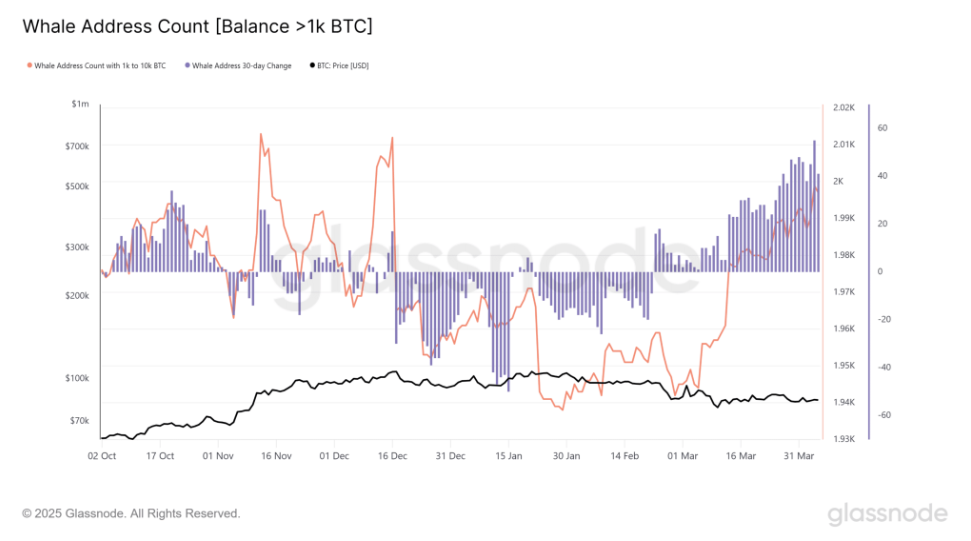 Bitcoin plunged to 76k as post-Trump tariff resilience collapses. Liquidations hit $1 billion. - whales address count 07042025