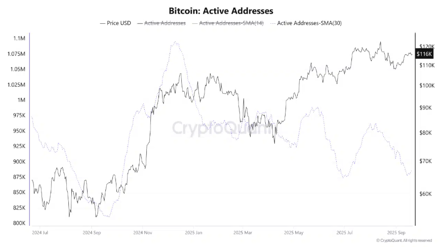 Bitcoin Faces Flash Crash, But Long-Term Holders Signal Bullish Q4&nbsp; - BTC active addressses 22092025