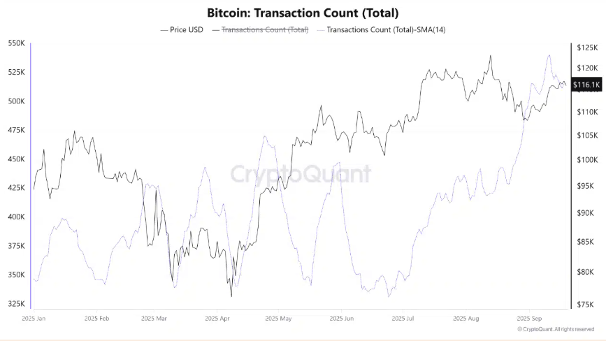 Bitcoin Faces Flash Crash, But Long-Term Holders Signal Bullish Q4&nbsp; - BTC transaction count 22092025