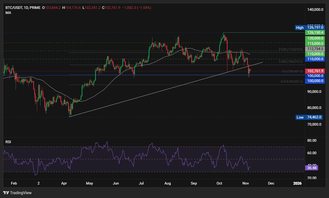 BTC Tests Bear Market Waters — Buyers Defend $100K Support - BTCUSD 29