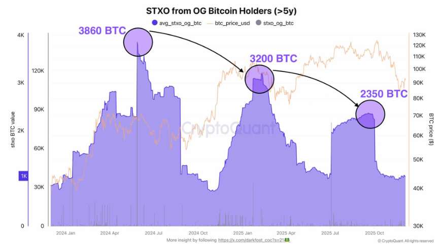 Bitcoin rises ahead of the Fed rate decision, but can this recovery be sustained? Bitcoin rises ahead of the Fed rate decision, but can this recovery be sustained? - BTC HLDRS 5YRS