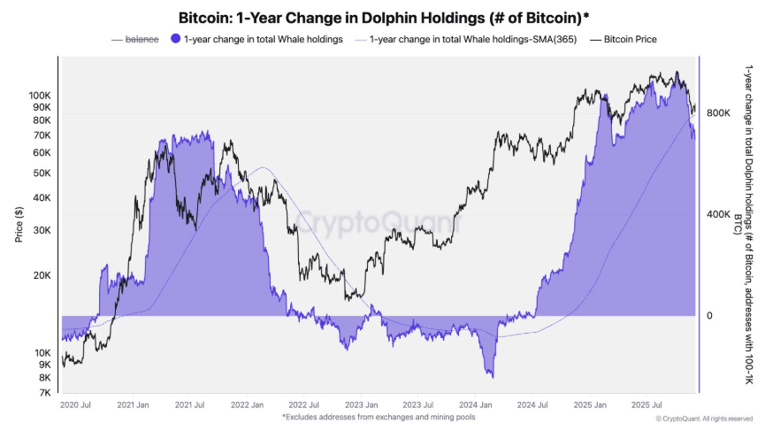 Bitcoin rises ahead of the Fed rate decision, but can this recovery be sustained? Bitcoin rises ahead of the Fed rate decision, but can this recovery be sustained? - Dolphins
