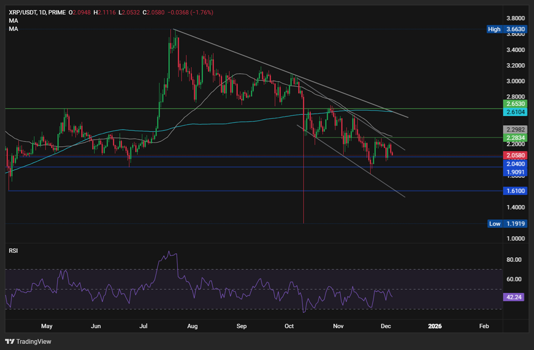Bitcoin falls to 91.5k ahead of US Core PCE. XRP falls despite encouraging fundamental Bitcoin falls to 91.5k ahead of US Core PCE. XRP falls despite encouraging fundamental - XRP