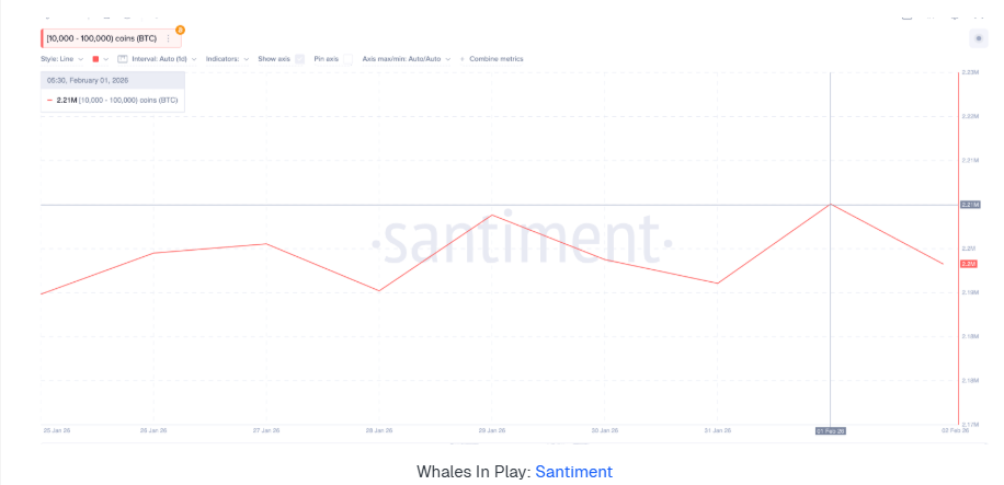 Bitcoin plunges to a 9-month low as Trump’s Warsh pick tanks BTC. More downside to come? Bitcoin plunges to a 9-month low as Trump’s Warsh pick tanks BTC. More downside to come? - whales